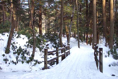 Charming Mountain Cabin near Ski and Golf Resorts, Pennsylvania - Somerset, Pennsylvania - glamping.directory