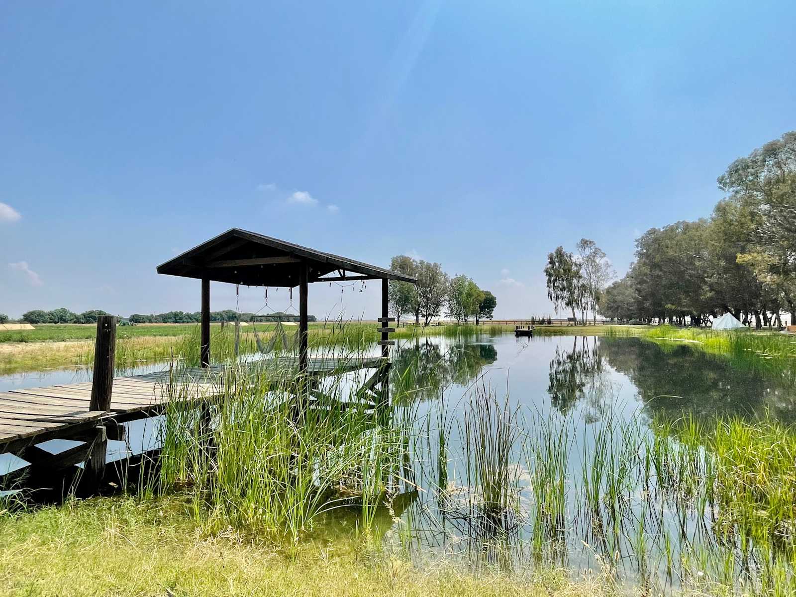 Bakersfield Farm Animals & Pond - California - glamping.directory