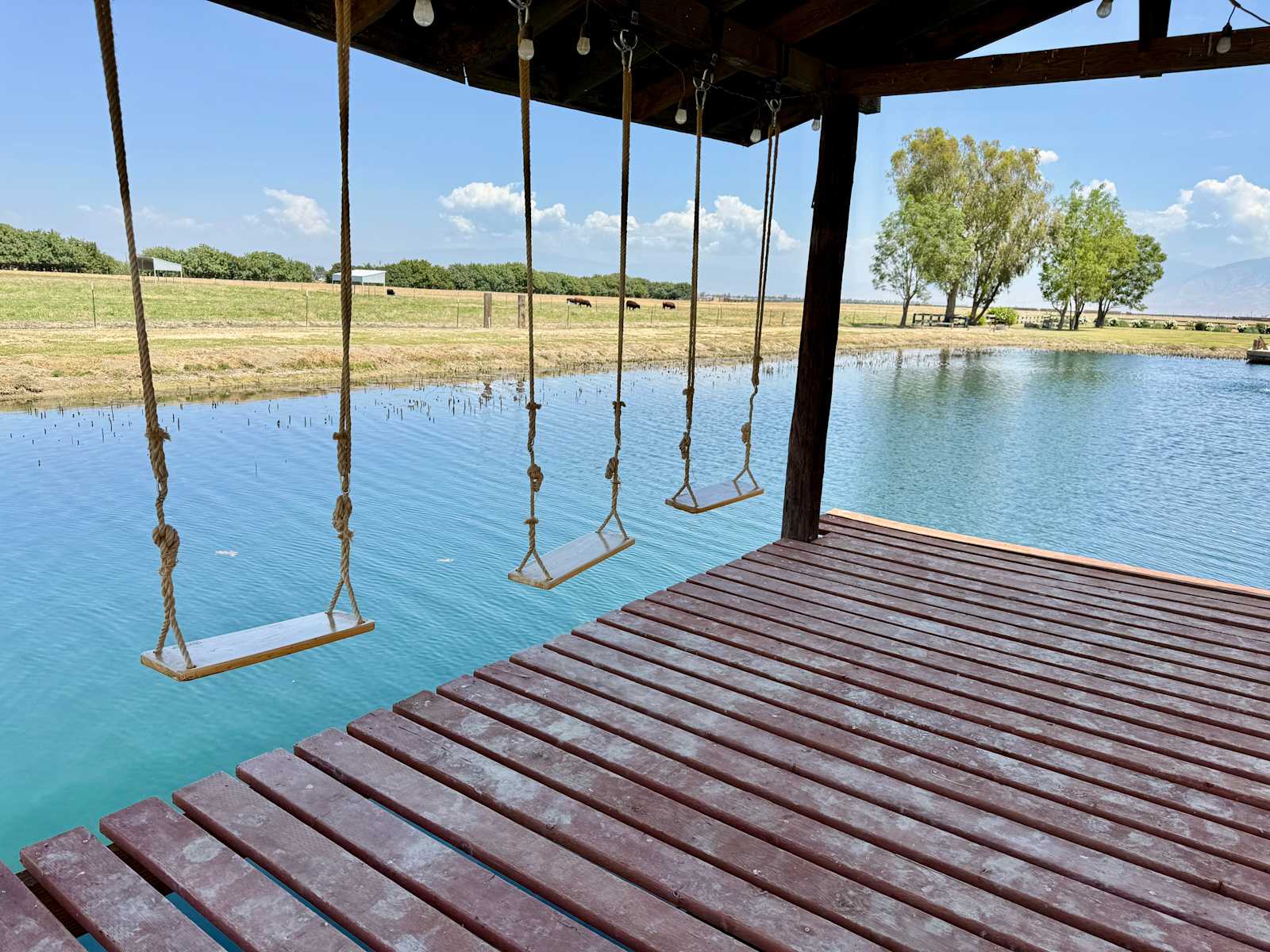 Bakersfield Farm Animals & Pond - glamping.directory