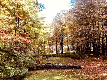 Peaceful Country Retreat with Private Trails, Sauna & Stargazing in Bloomville, New York - Bloomville, New York - glamping.directory