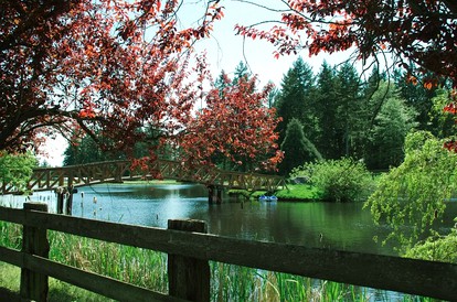 Spacious Bed and Breakfast Suite on Horse Farm for Unique Getaway in Oak Harbor, Washington - Oak Harbor, Washington - glamping.directory
