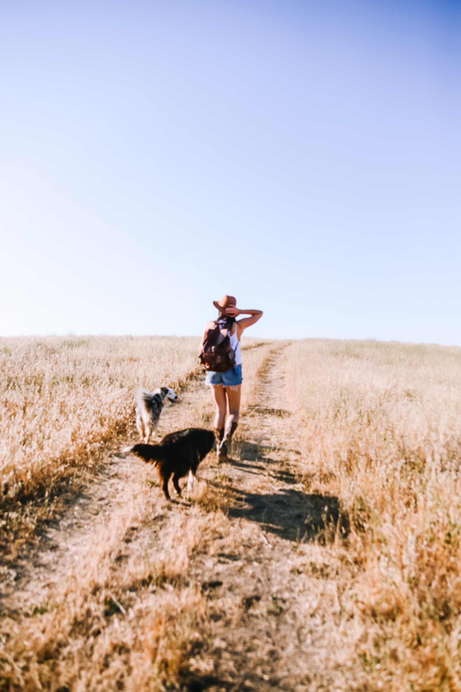 Enney's Ranch - San Miguel, California - glamping.directory
