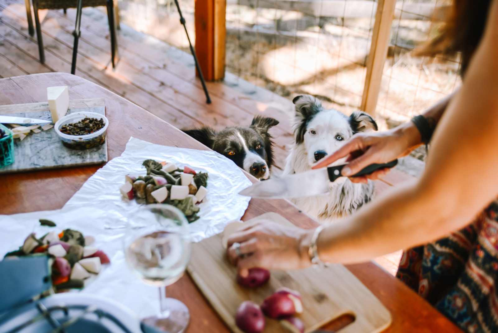 Enney's Ranch - San Miguel, California - glamping.directory