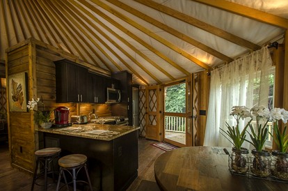 Creekside Secluded Yurt with Jacuzzi in Topton, North Carolina - Topton, North Carolina - glamping.directory