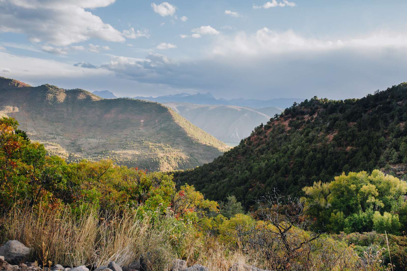 Basalt Mountain Homestead - Basalt, Colorado - glamping.directory