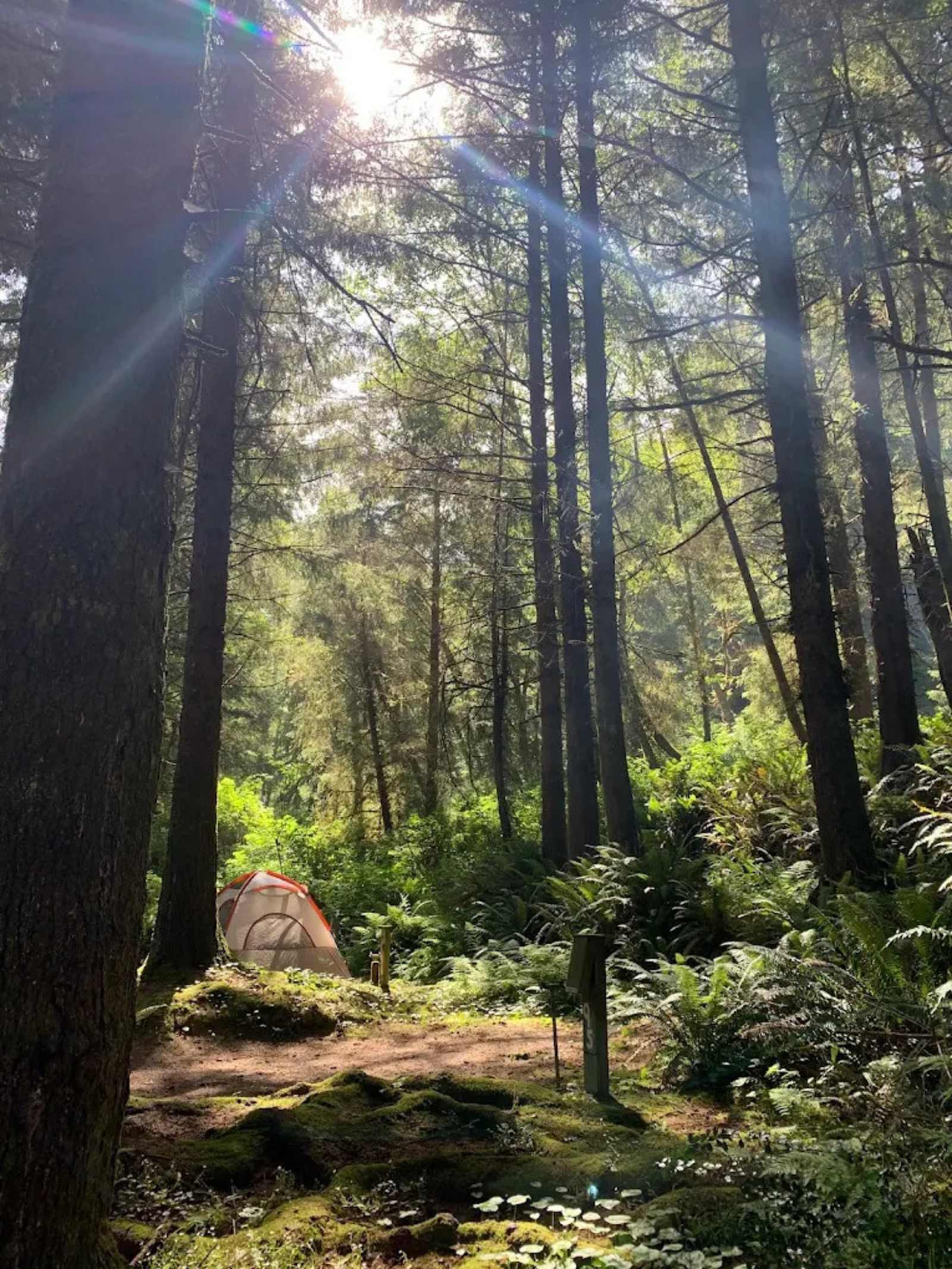 Elk Country RV Resort & Campground - Trinidad, California - glamping.directory