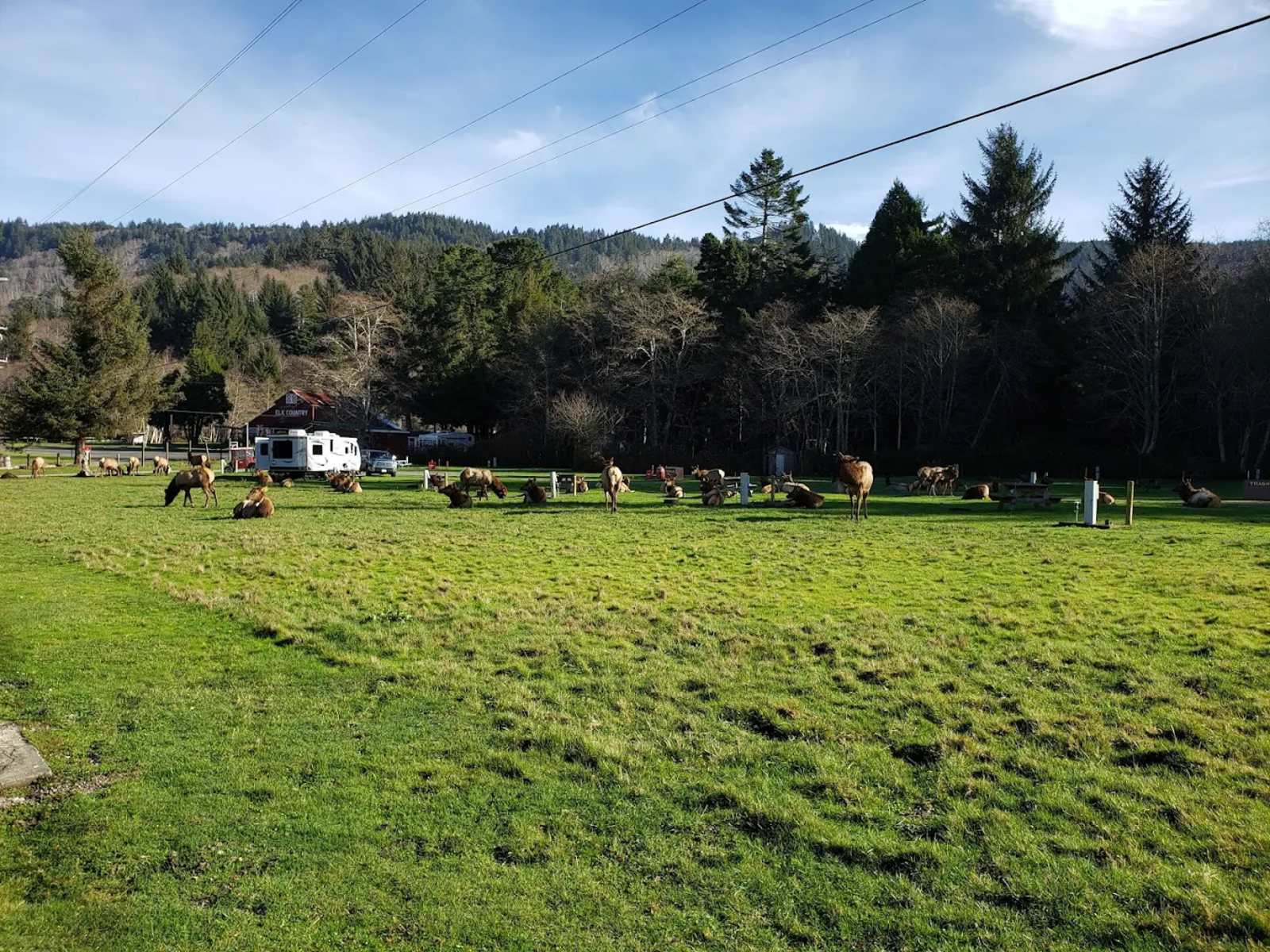 Elk Country RV Resort & Campground - Trinidad, California - glamping.directory