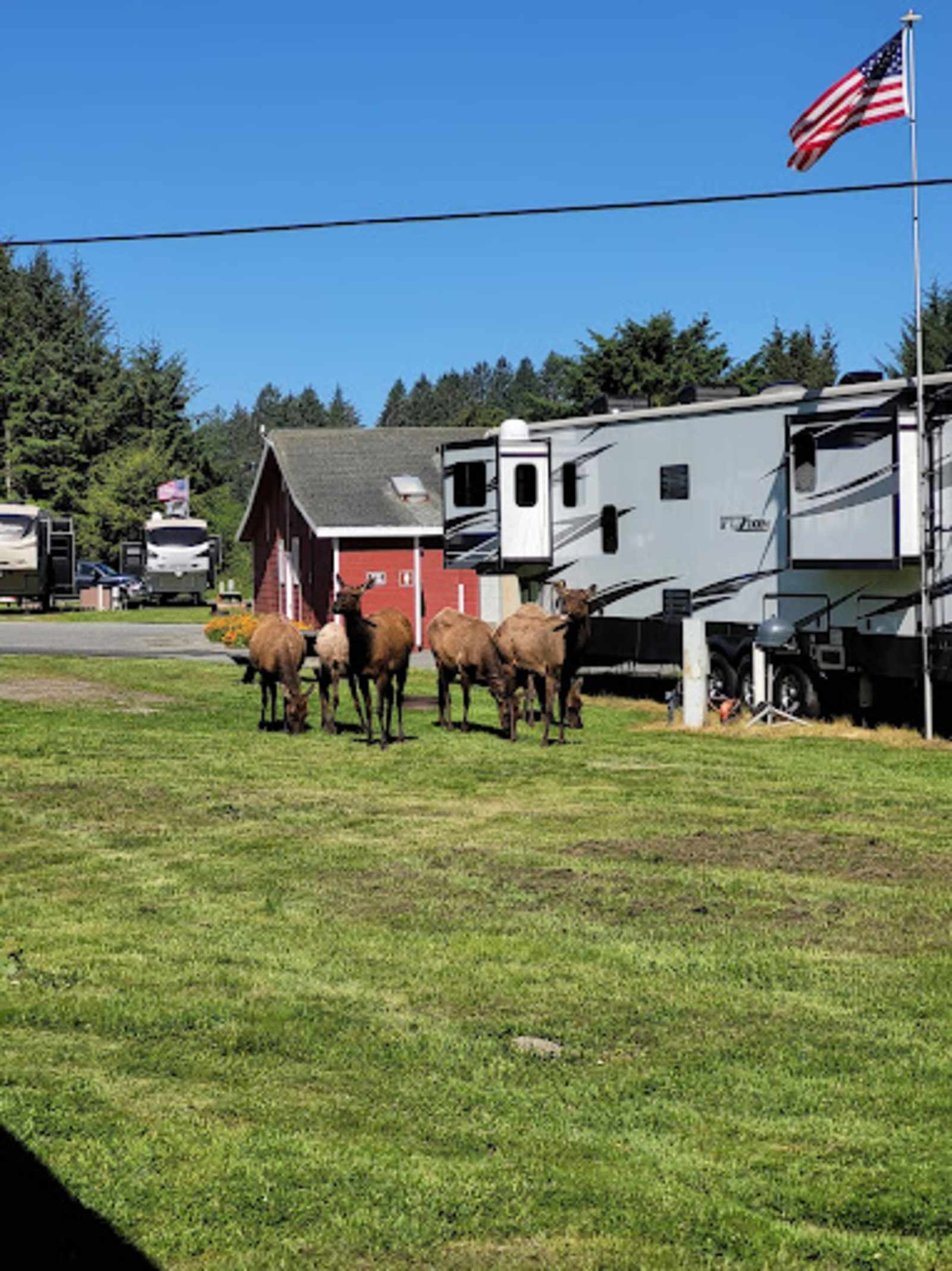 Elk Country RV Resort & Campground - Trinidad, California - glamping.directory