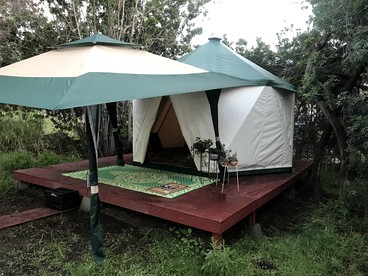 Lovely Glamping Tent for Three with a Shared Pool near Lakeside, California - El Cajon, California - glamping.directory