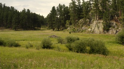 Horse Creek Cabin #1, Rapid City, South Dakota - Rapid City, South Dakota - glamping.directory