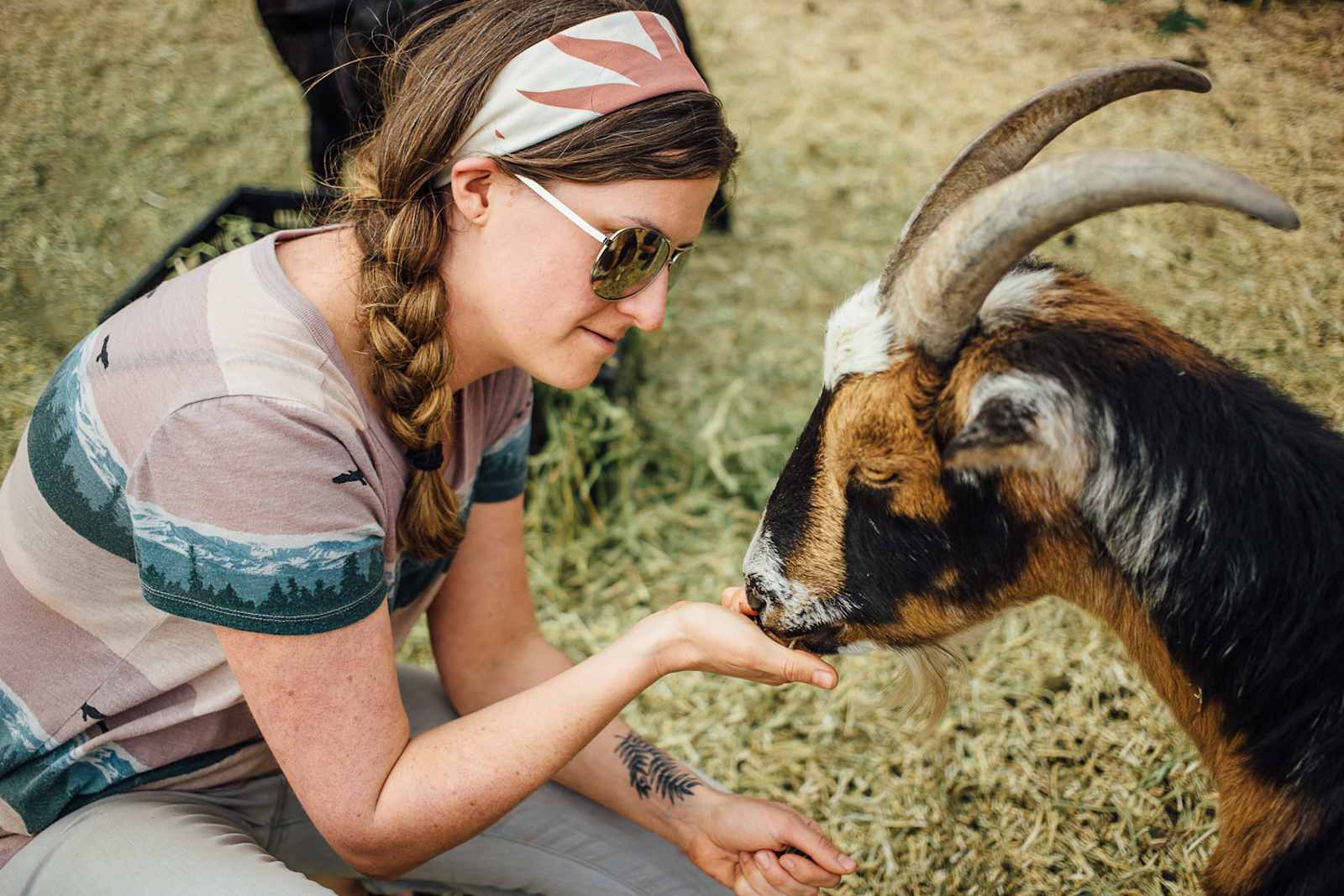 Richard Wizardy's Cynosure Project - Camp Verde, Arizona - glamping.directory
