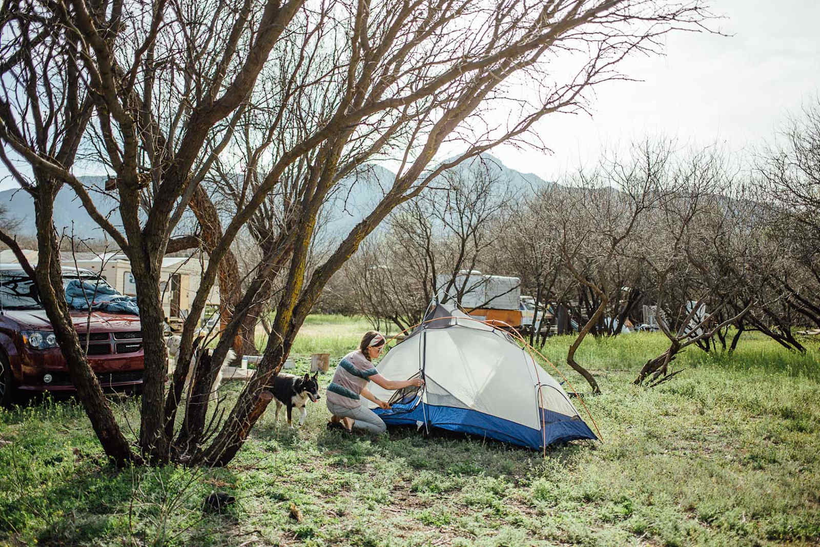 Richard Wizardy's Cynosure Project - glamping.directory