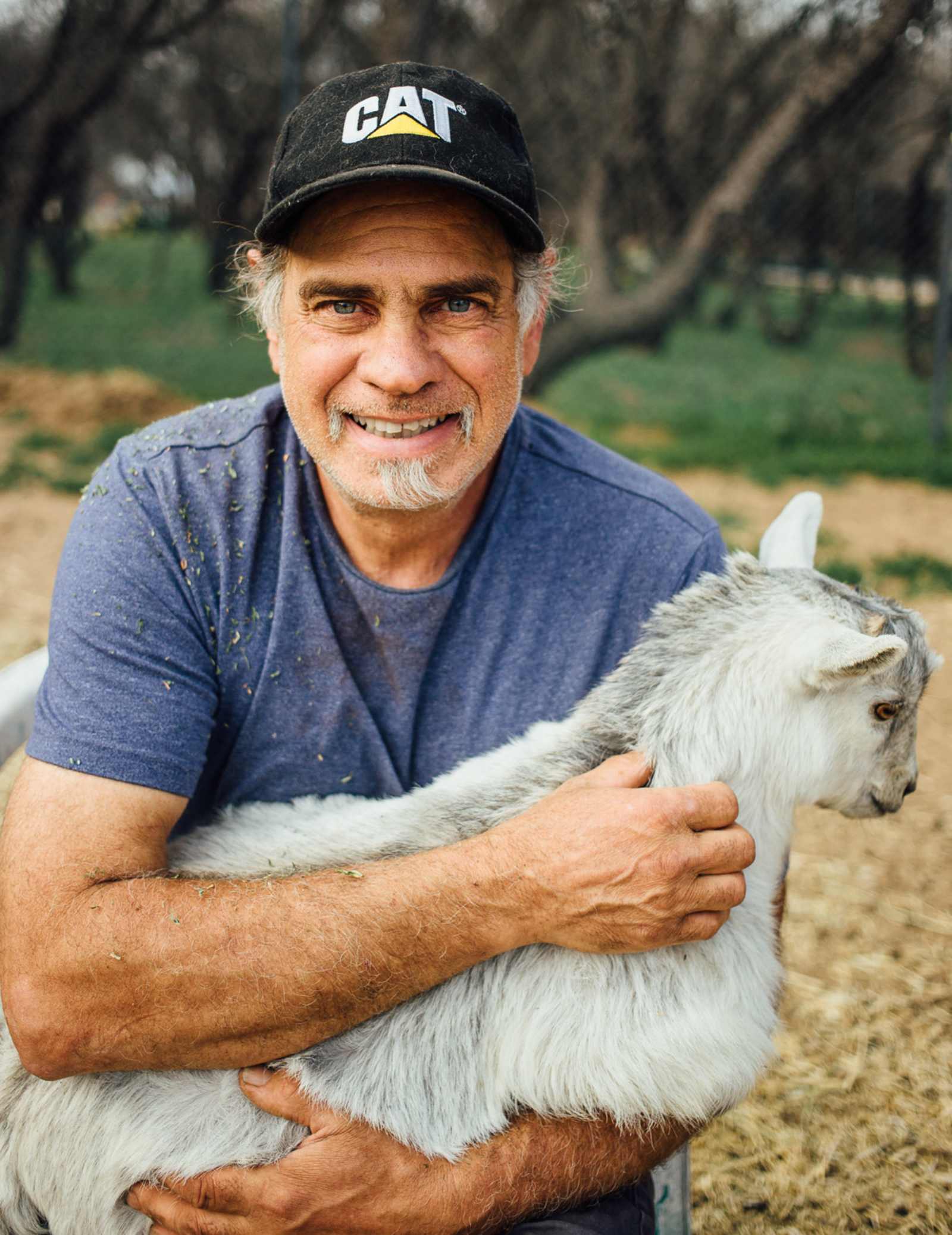 Richard Wizardy's Cynosure Project - Camp Verde, Arizona - glamping.directory