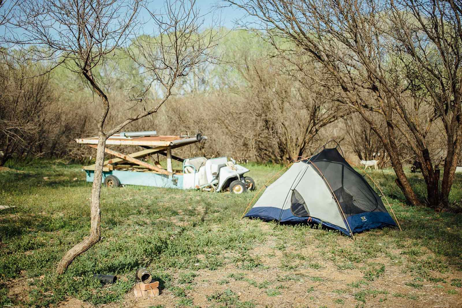 Richard Wizardy's Cynosure Project - Camp Verde, Arizona - glamping.directory