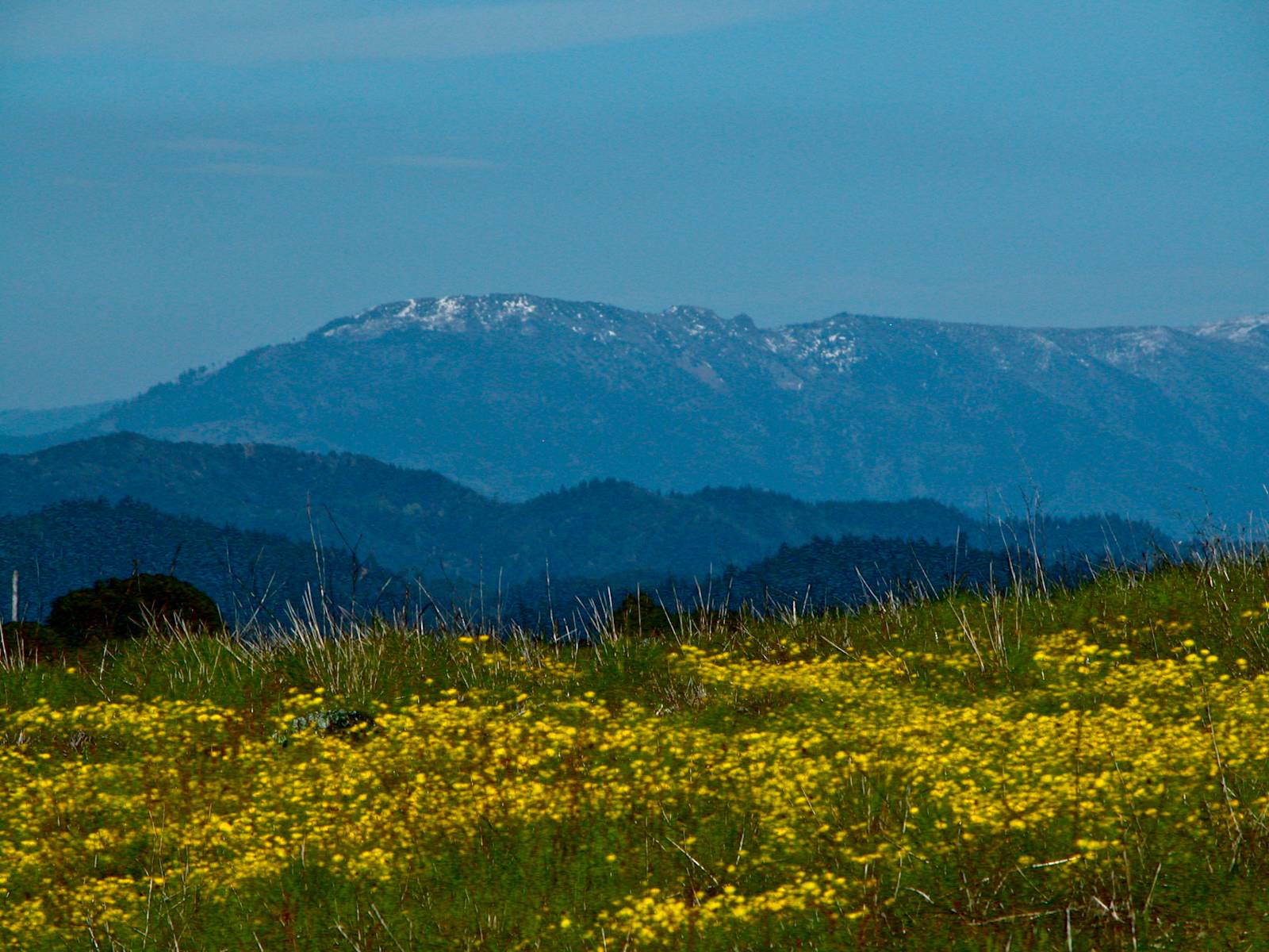 Sherwood Oasis - Willits, California - glamping.directory