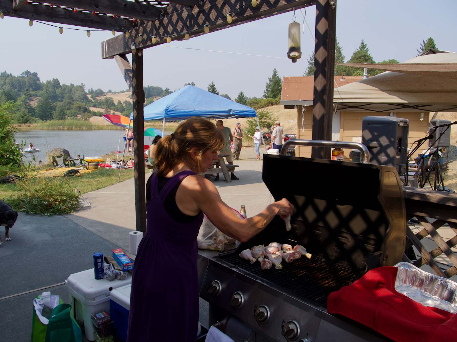 Sherwood Oasis - Willits, California - glamping.directory