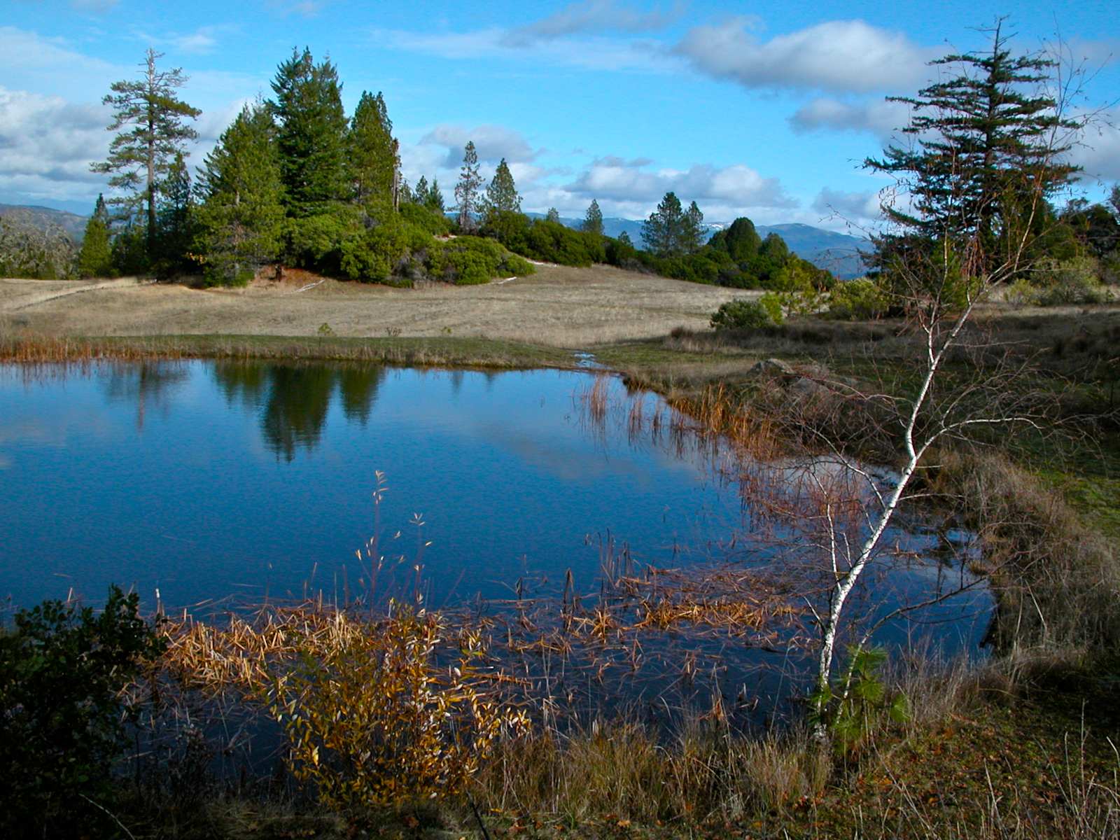 Sherwood Oasis - Willits, California - glamping.directory