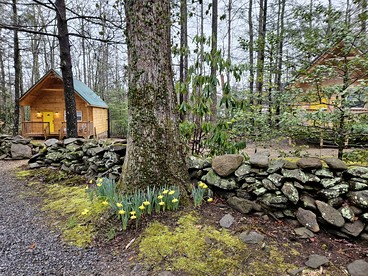 Two Cozy Cabins Nestled in the Trees for a Peaceful Group Getaway near the Great Smoky Mountains National Park in Tennessee - Cosby, Tennessee - glamping.directory