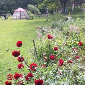 Romantic Weekend Retreat in the Quiet Town of Cummington, Massachusetts - Cummington, Massachusetts - glamping.directory