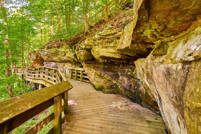 Cozy Secluded Safari Tent Immersed in Nature in Ravenna, Ohio - Ravenna, Ohio - glamping.directory