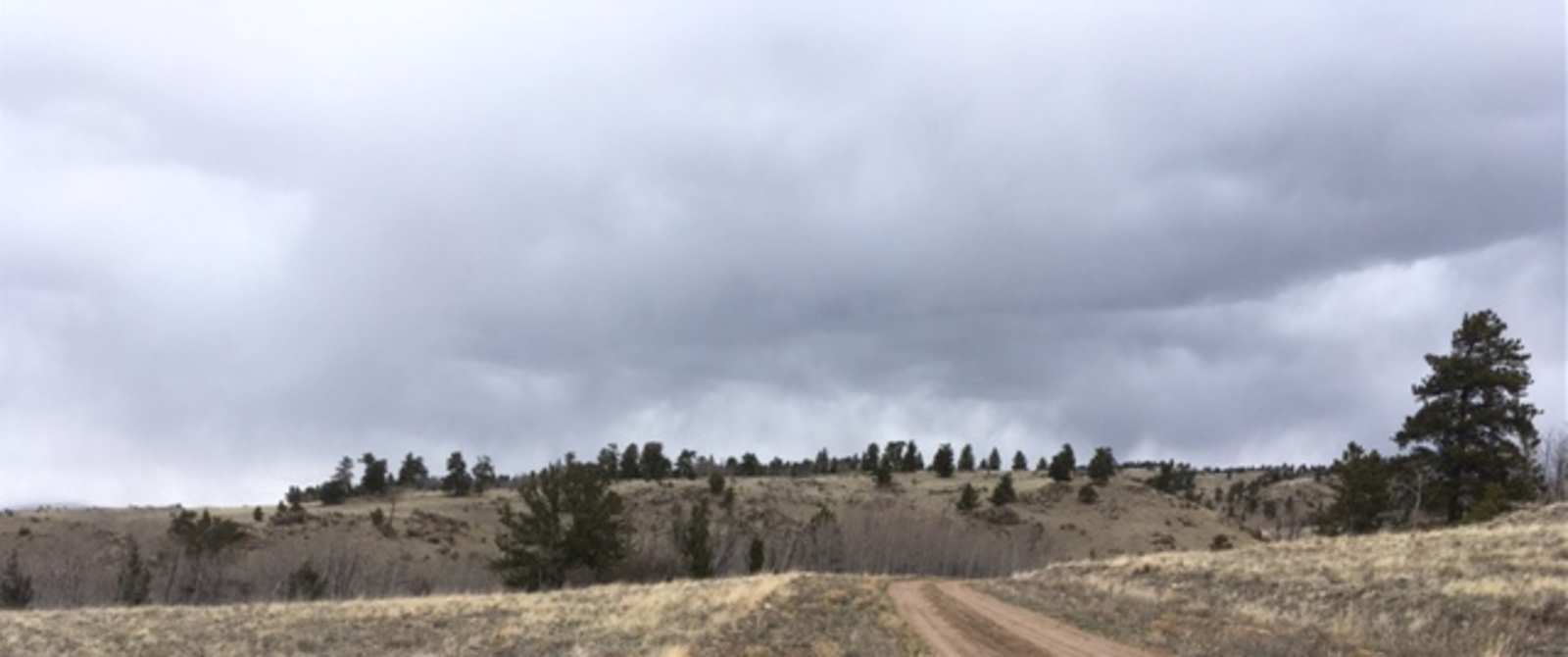 A Special Place in South Park - Hartsel, Colorado - glamping.directory
