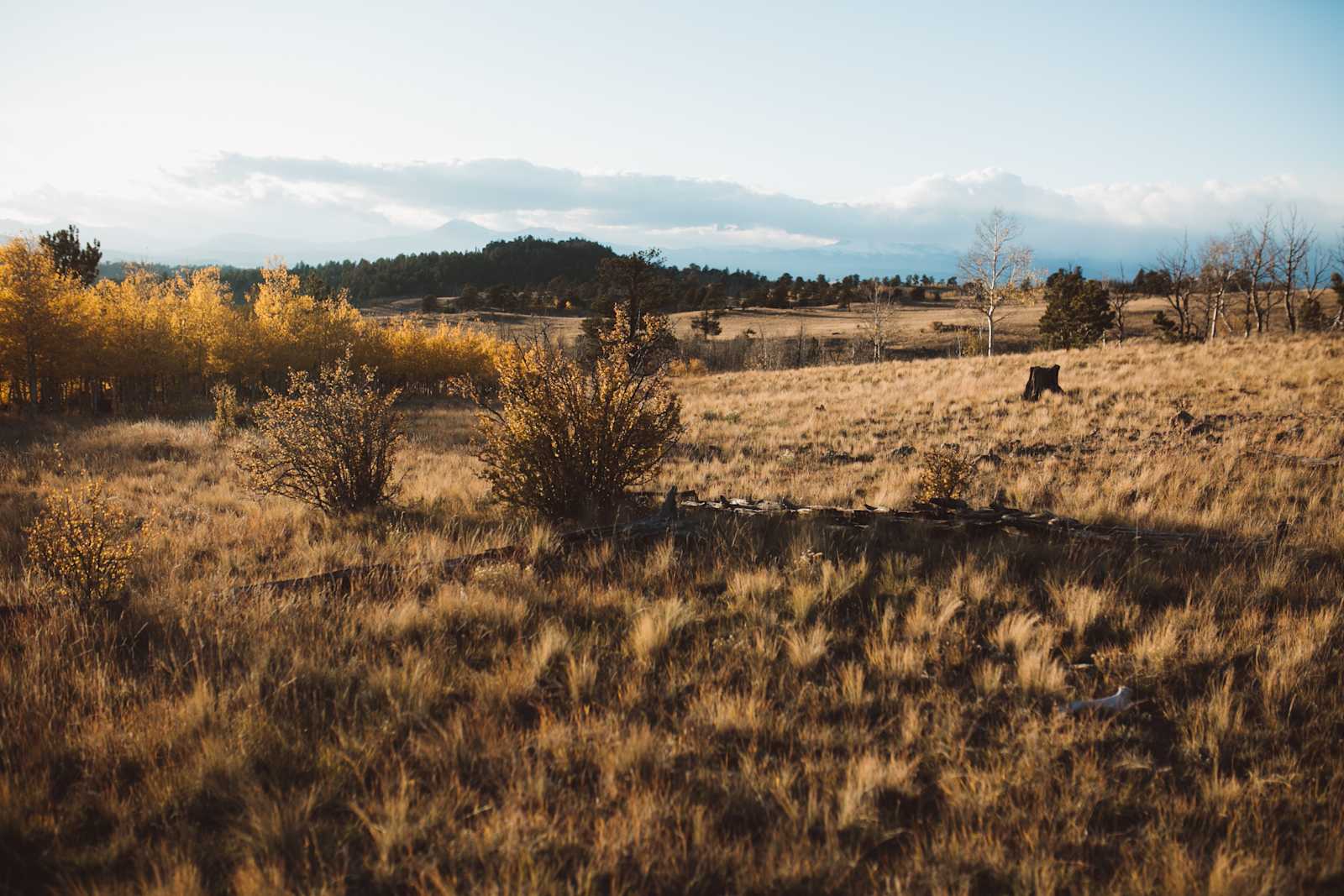 A Special Place in South Park - glamping.directory