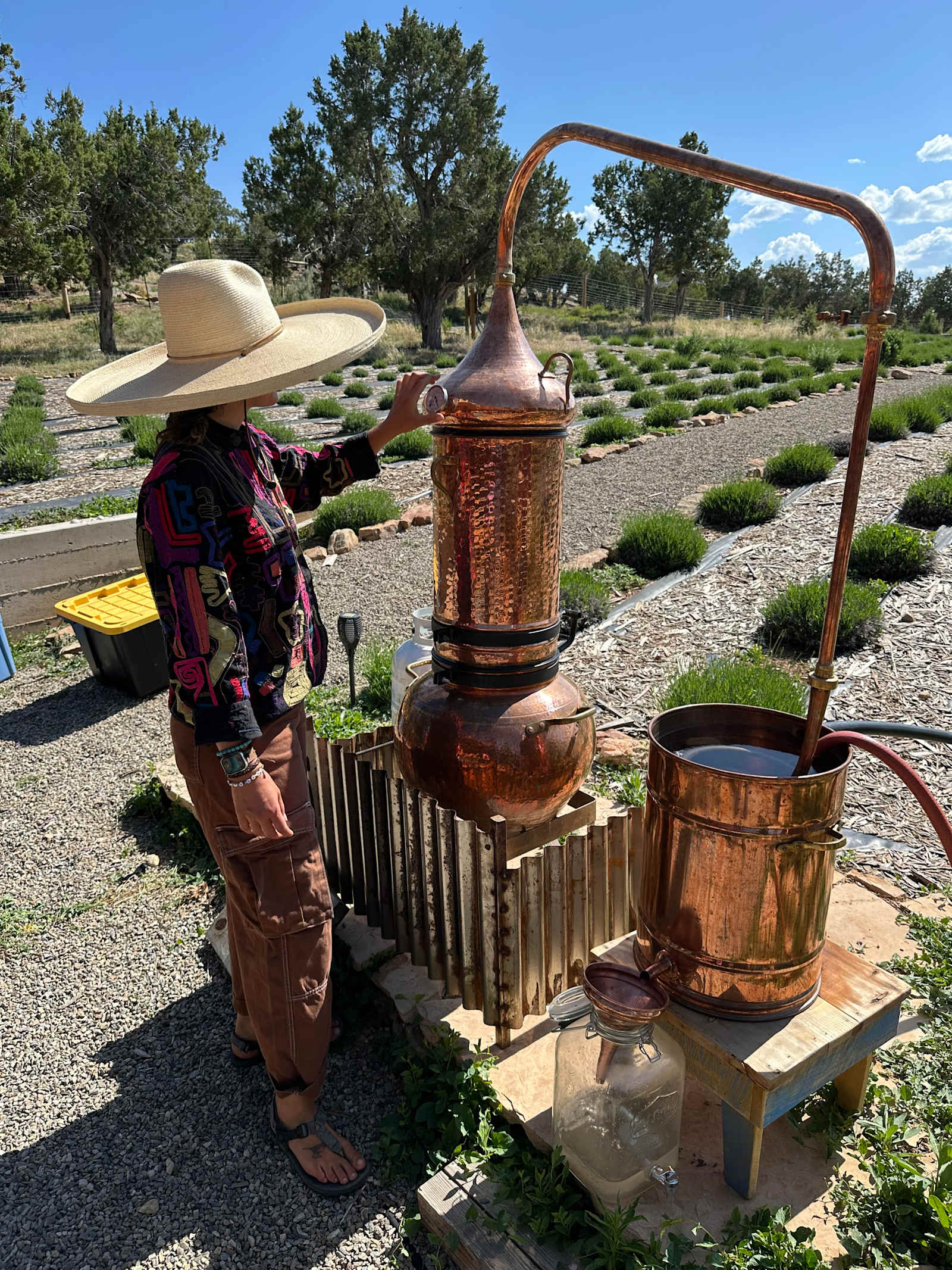 Lavender Farm Bed and Breakfast - Dolores, Colorado - glamping.directory