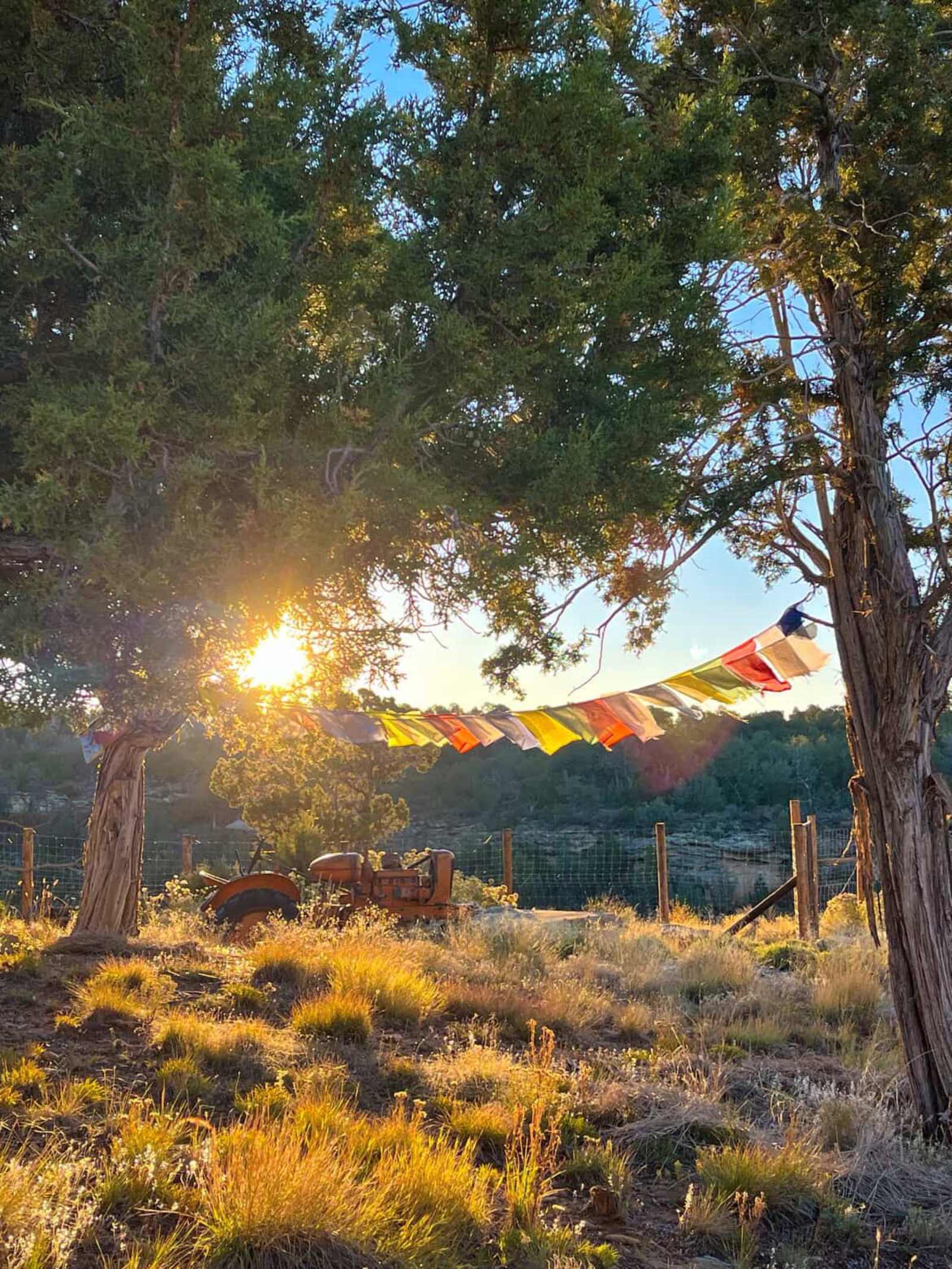 Lavender Farm Bed and Breakfast - Dolores, Colorado - glamping.directory