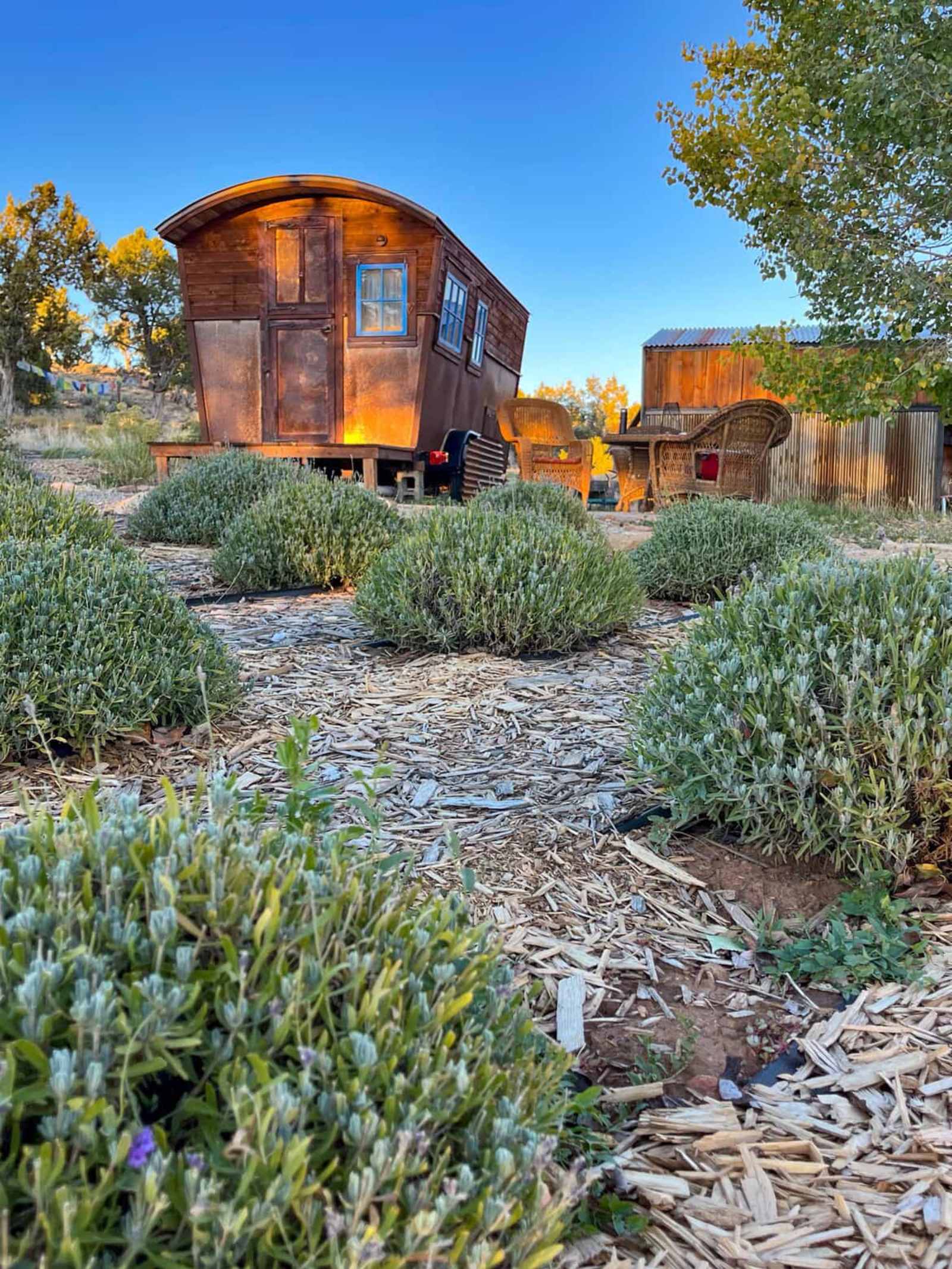 Lavender Farm Bed and Breakfast - glamping.directory