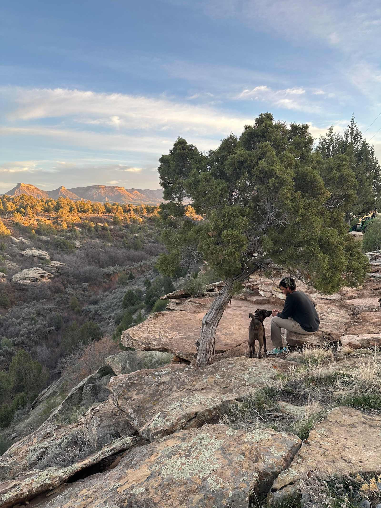 Lavender Farm Bed and Breakfast - Dolores, Colorado - glamping.directory