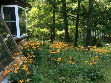 Scenic Cabin Retreat Perfect for Groups near Caledonia, Minnesota - Spring Grove, Minnesota - glamping.directory