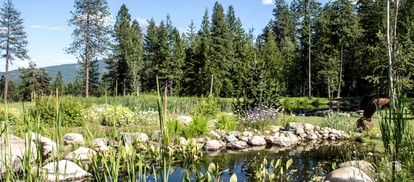 Luxurious Suite for a Secluded Nature Retreat in Sandpoint, Idaho - Sandpoint, Idaho - glamping.directory