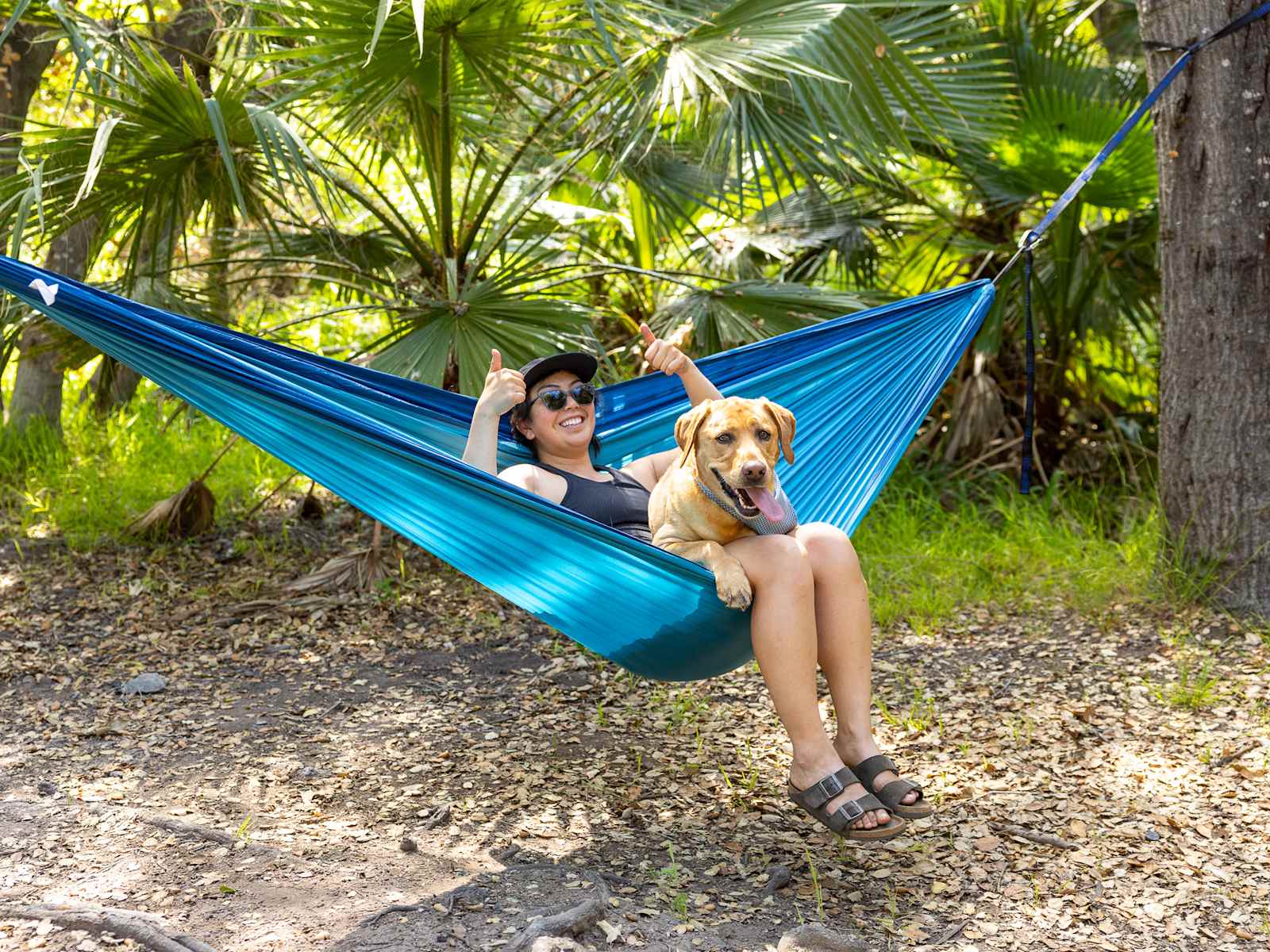 Secluded De Luz Goat Ranch - Fallbrook, California - glamping.directory