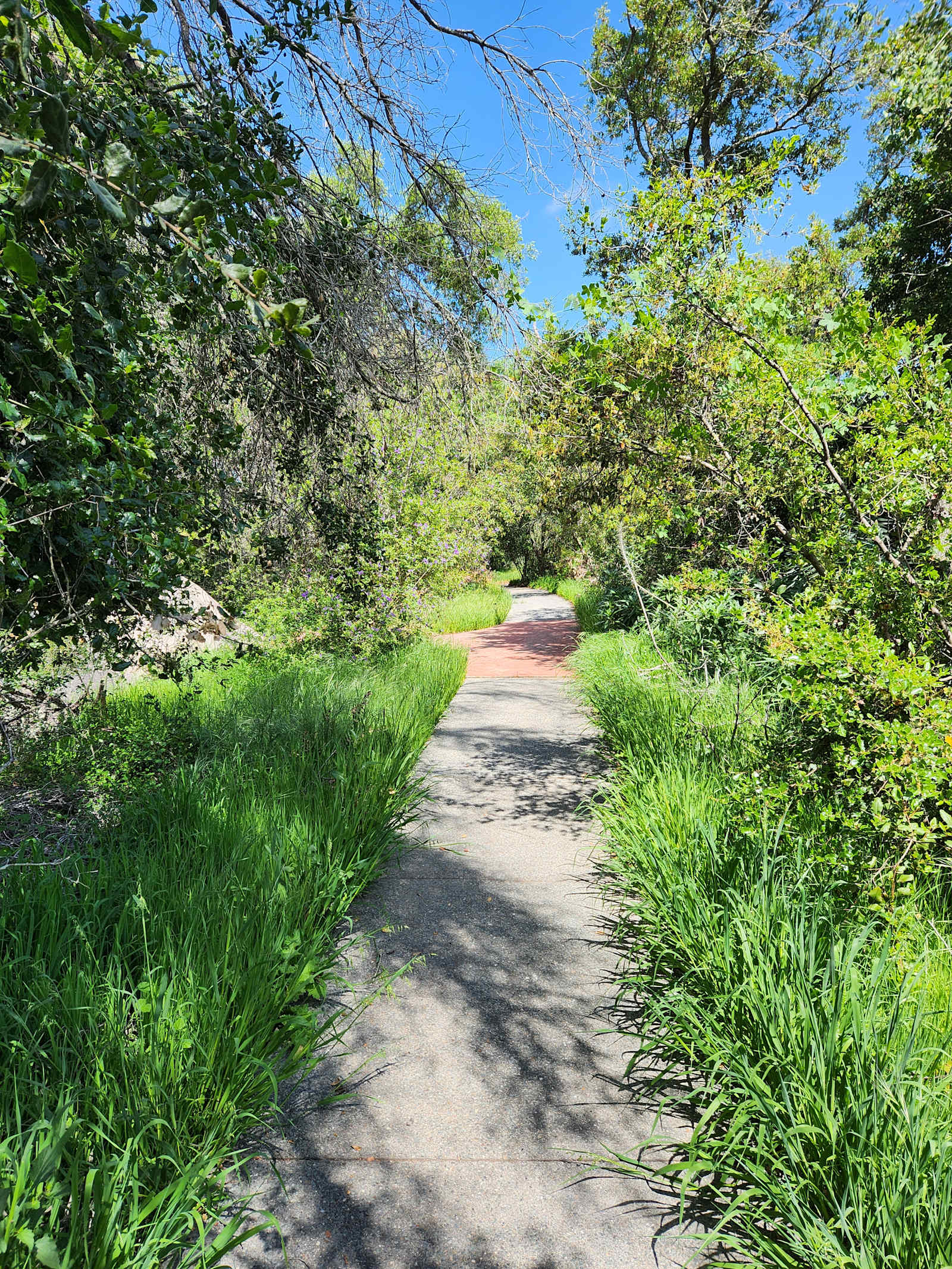 Secluded De Luz Goat Ranch - Fallbrook, California - glamping.directory