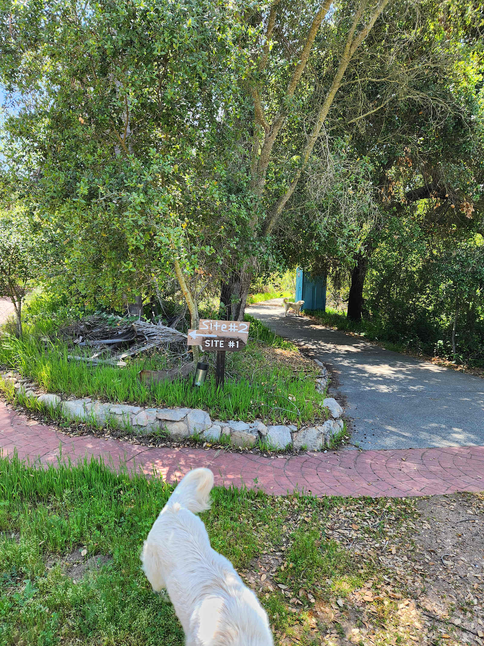 Secluded De Luz Goat Ranch - Fallbrook, California - glamping.directory
