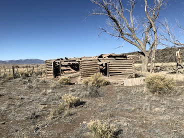 Romantic Camping Yurt on Camel Farm near Alamosa, Colorado - Capulin, Colorado - glamping.directory