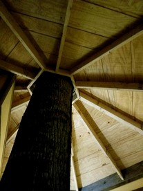 Tree Top Cabin in Crumpler, North Carolina - Crumpler, North Carolina - glamping.directory