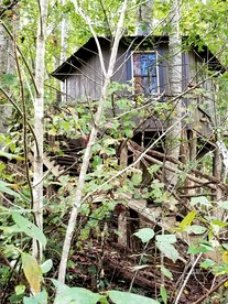 Tree Top Cabin in Crumpler, North Carolina - Crumpler, North Carolina - glamping.directory