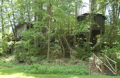 Tree Top Cabin in Crumpler, North Carolina - glamping.directory