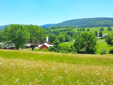 Bright and Spacious Vacation Rental near Catoctin Mountain Park, Maryland - Sabillasville, Maryland - glamping.directory