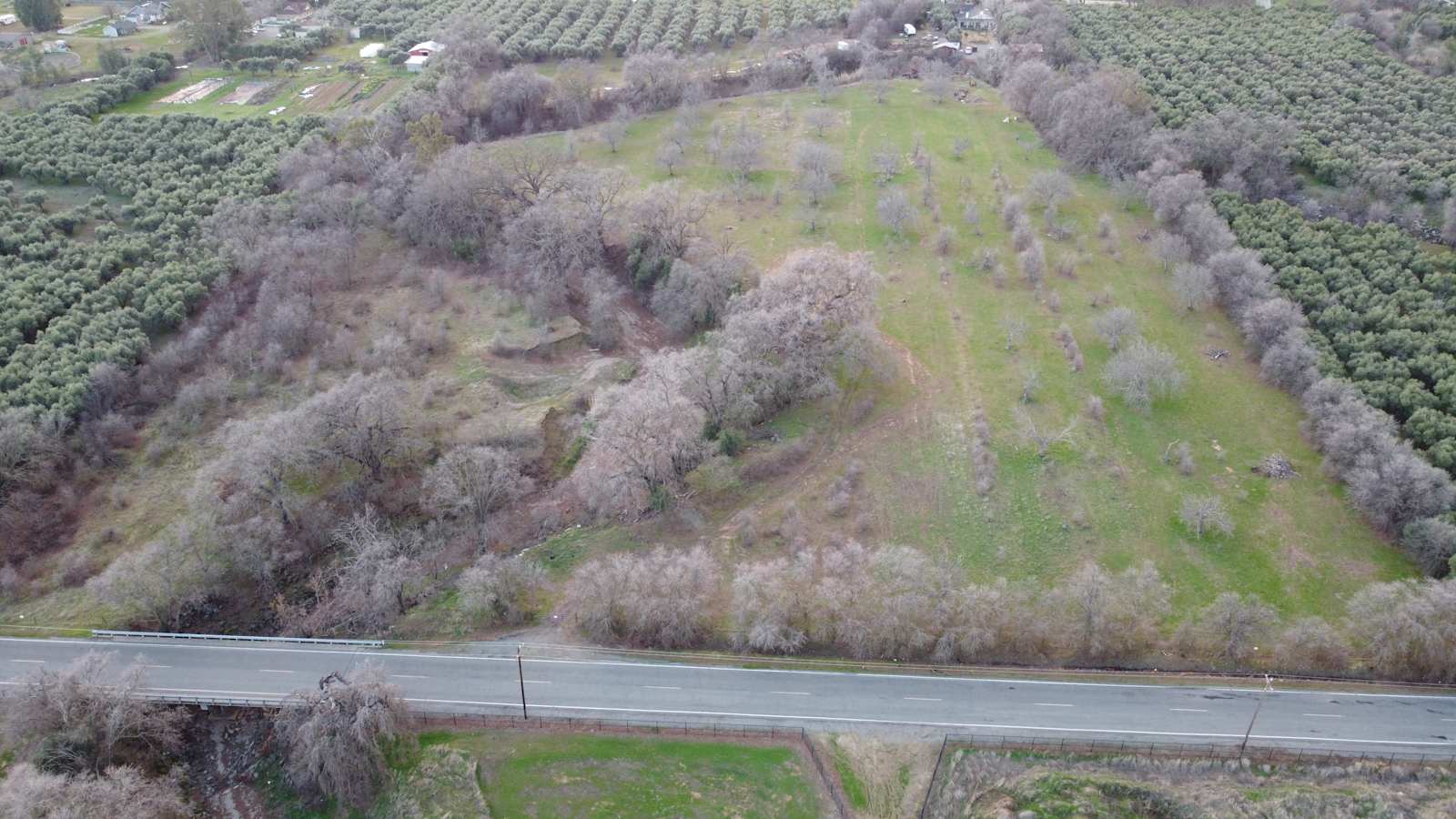Corning Oaks - Corning, California - glamping.directory