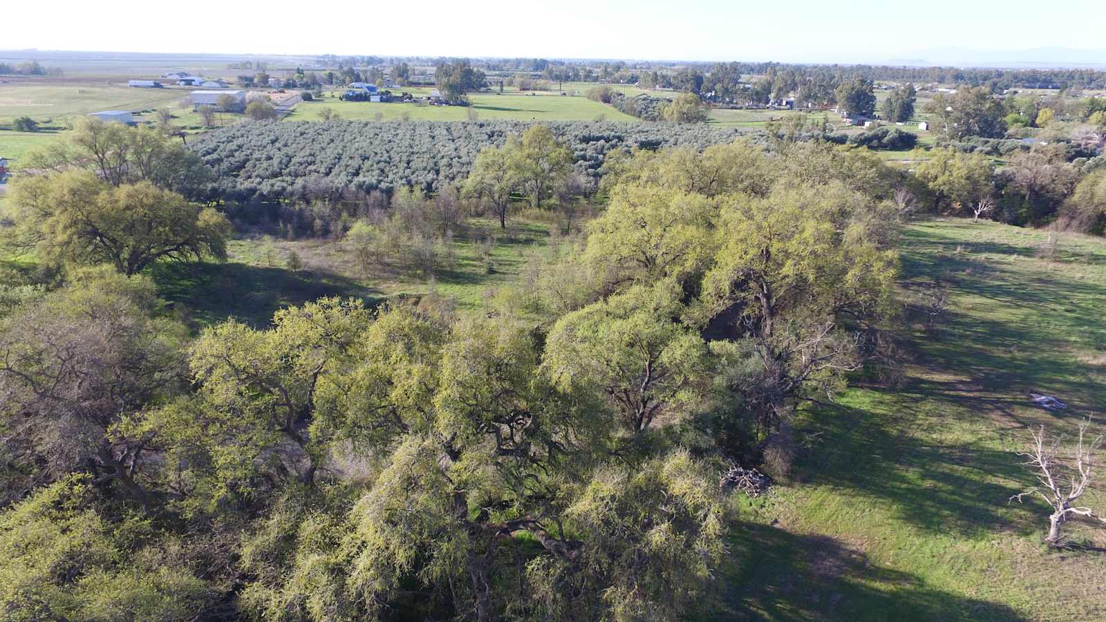 Corning Oaks - Corning, California - glamping.directory