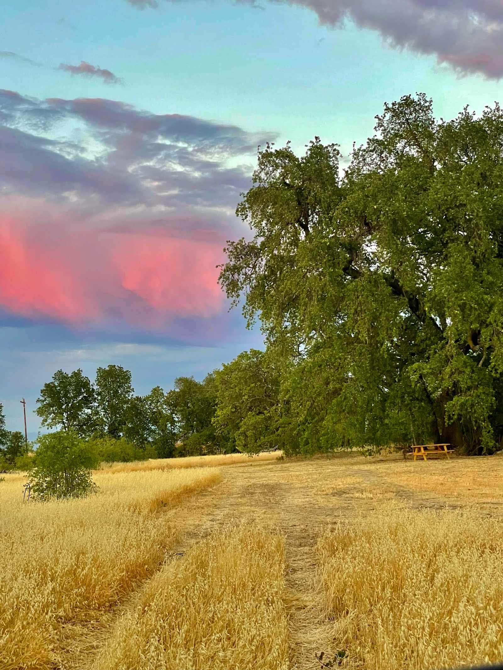 Corning Oaks - glamping.directory