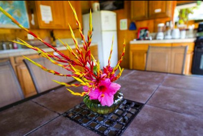 Serene Rental with Private Outdoor Shower in the Puna Jungle, Hawaii Island - Pahoa, Hawaii - glamping.directory