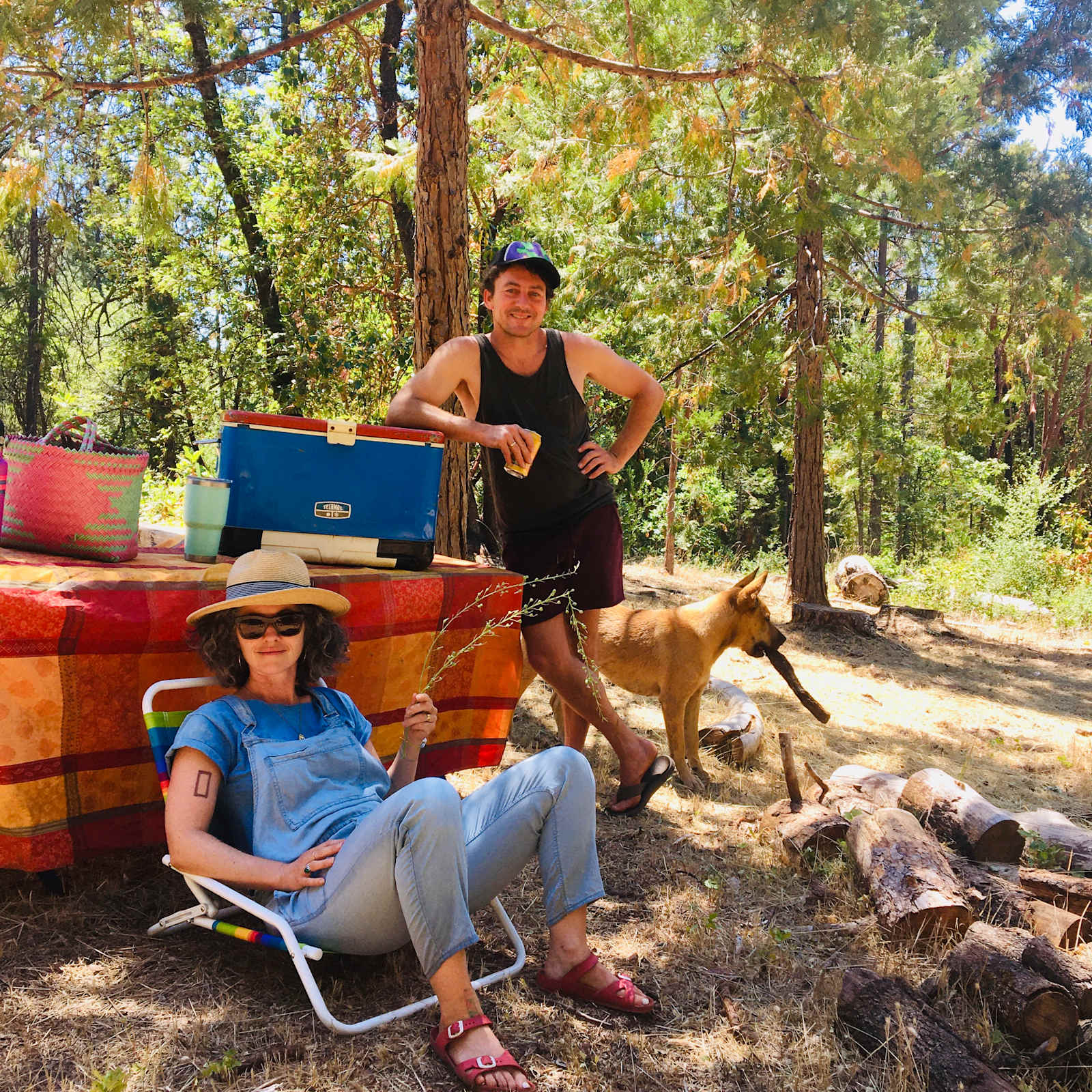 No. Columbia Off-Grid Homestead - Nevada City, California - glamping.directory