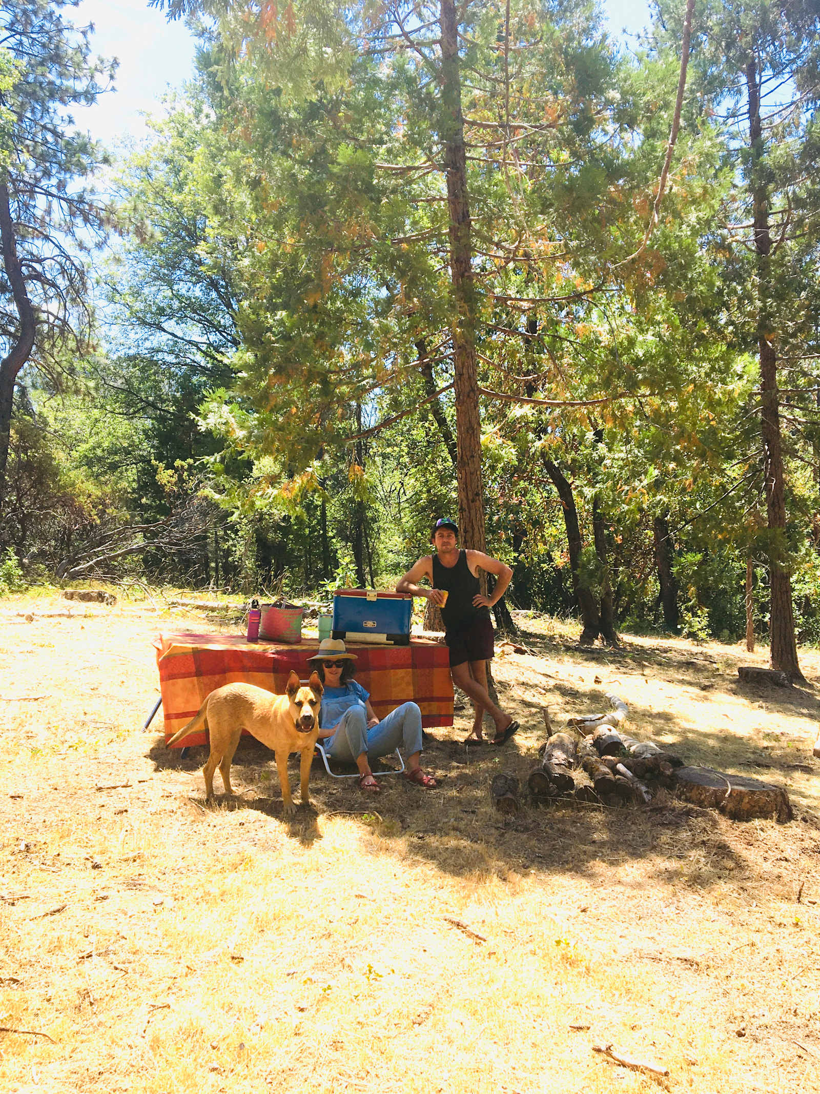 No. Columbia Off-Grid Homestead - Nevada City, California - glamping.directory