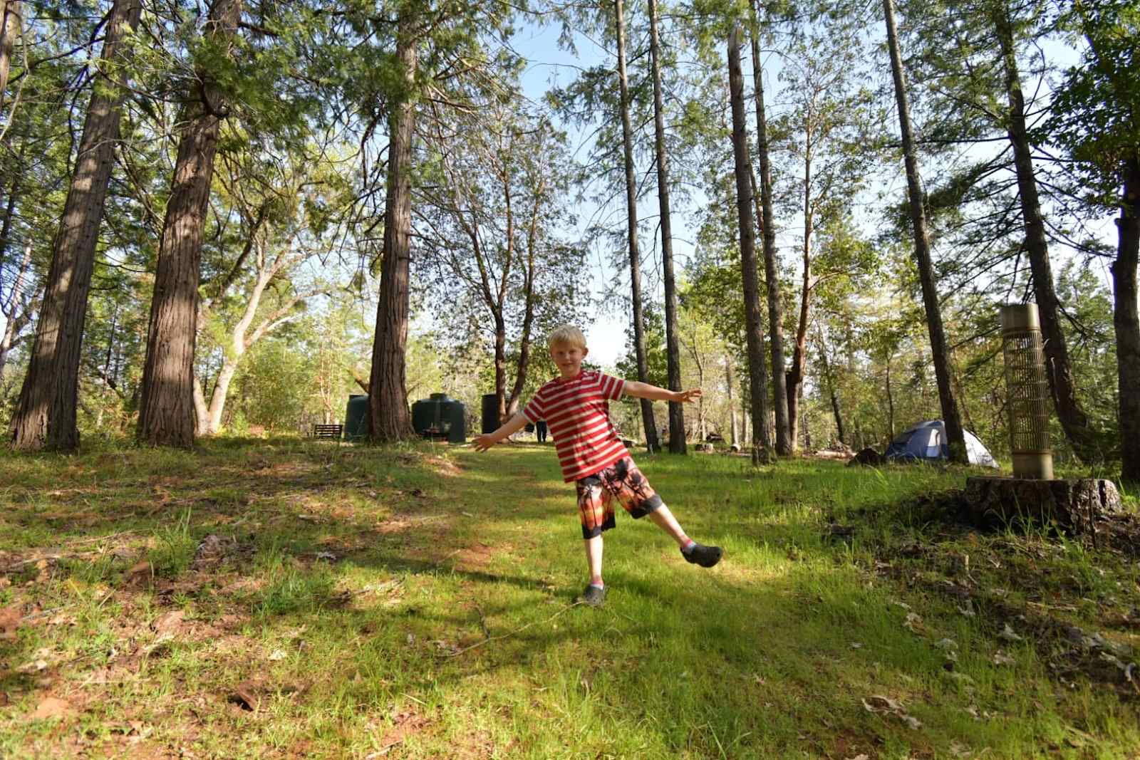 No. Columbia Off-Grid Homestead - glamping.directory