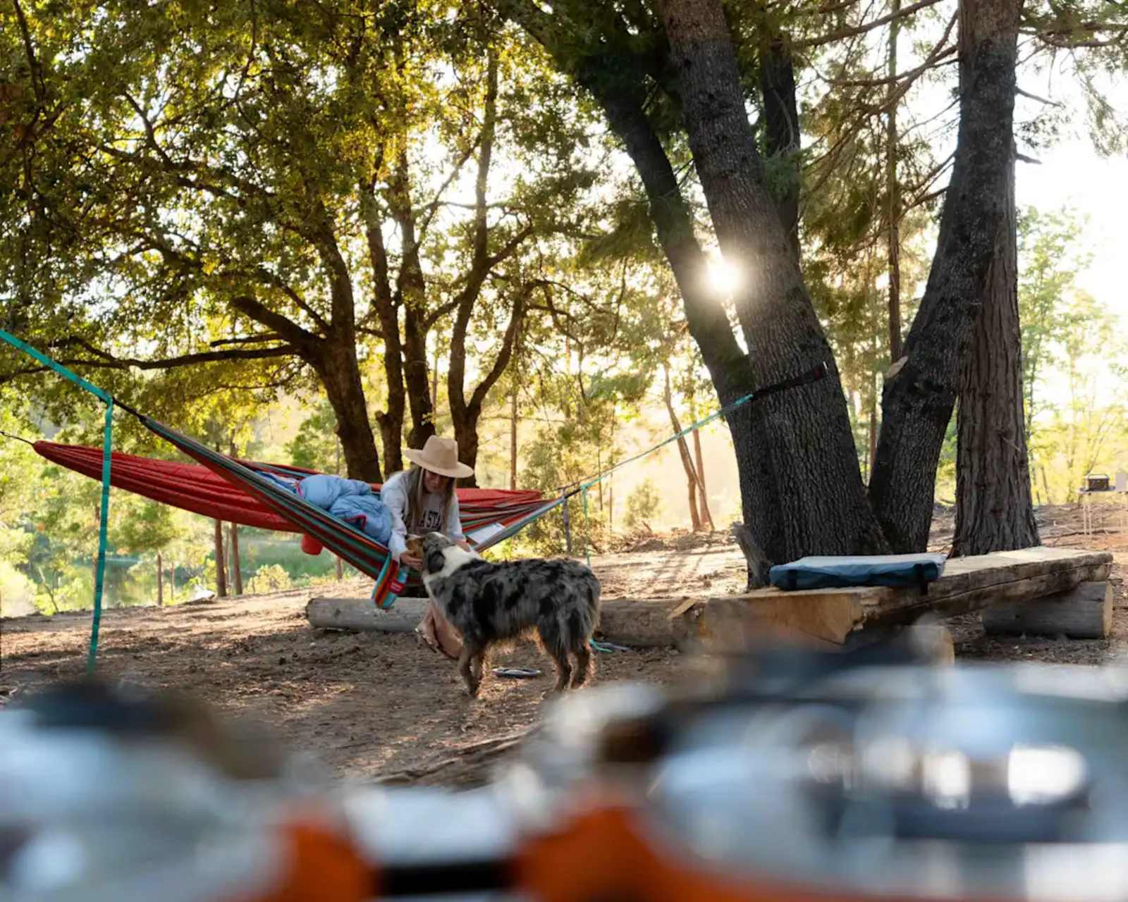 Private lake on 100 acre forest - Auberry, California - glamping.directory