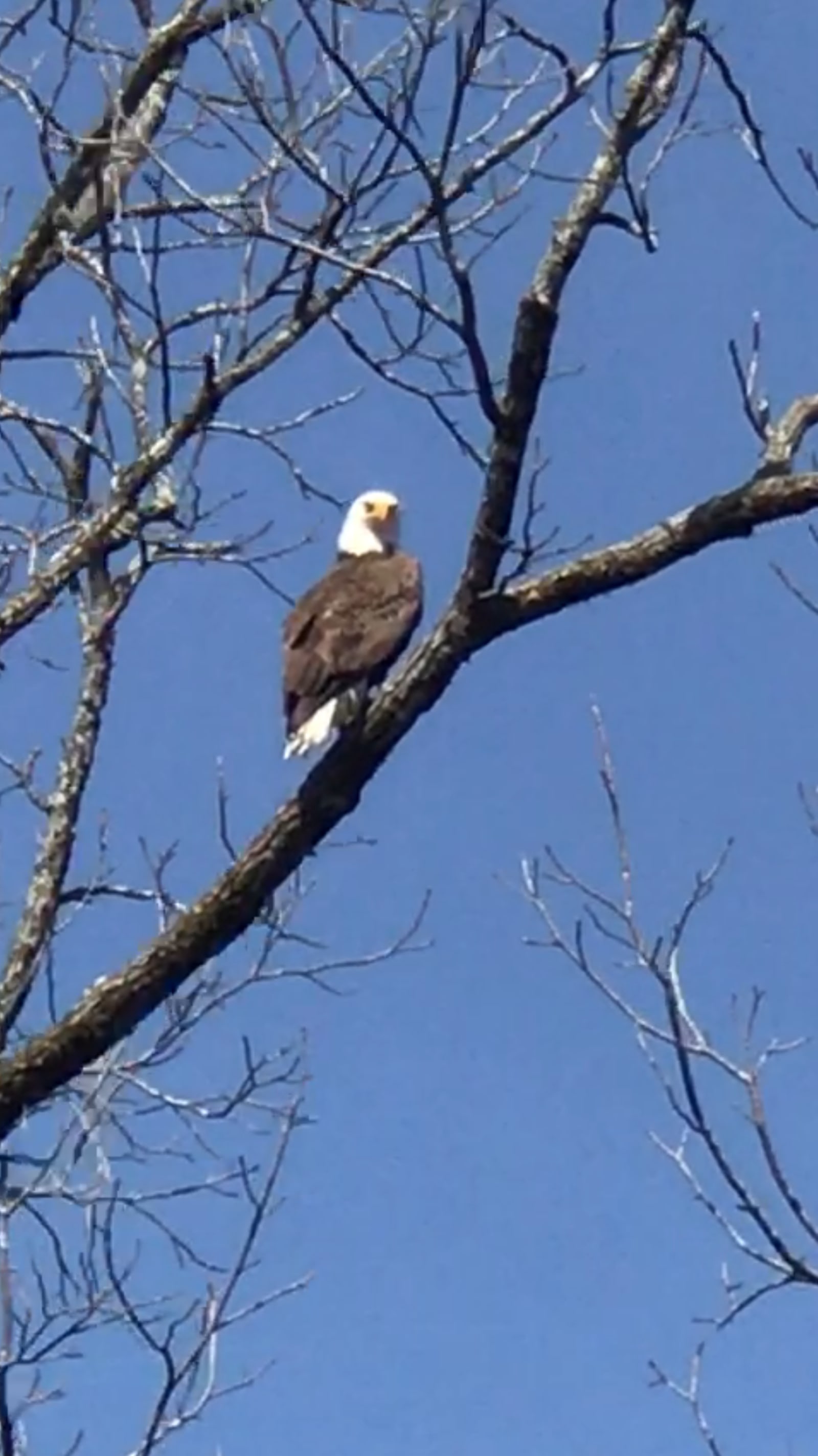 End of the Trail - Boles, Arkansas - glamping.directory