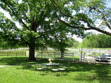 Historic Cottage Getaway on a Working Farm near Lexington, Virginia - Lexington, Virginia - glamping.directory